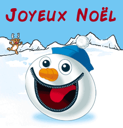 Sweatshirt Humoristique « Secret De Noël » Avec Bonhomme De Neige Et Flocons – Pour Homme Et Femme