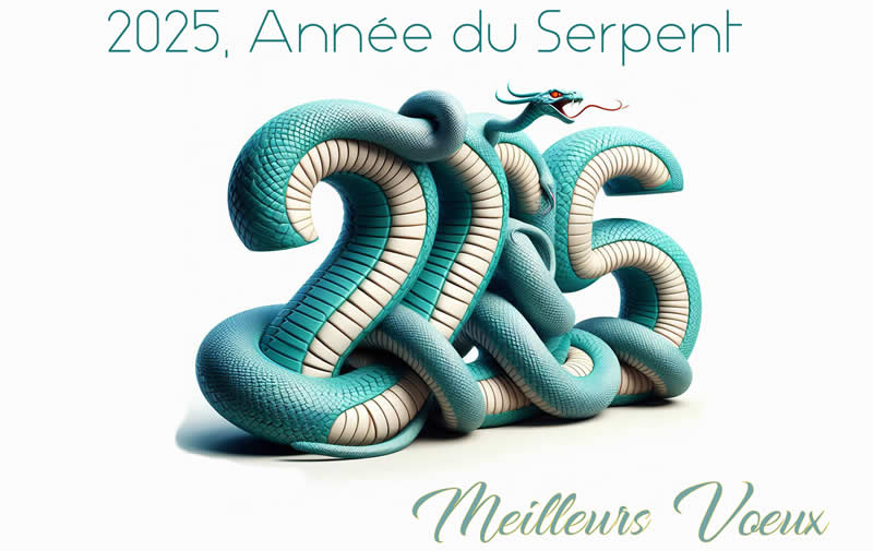 Image 3D horoscope chinois 2025 du Serpent, année du Serpent de Bois 