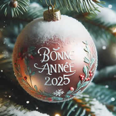 Image boule de Noël rouge avec texte Bonne Année 2025