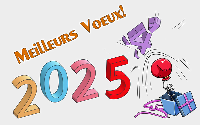 Image drôle avec 2024 qui s'envole