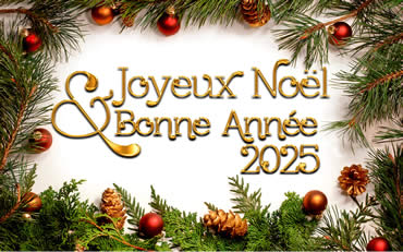 'image 2025 Joyeux Noël et Bonne Année avec decorations