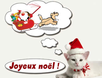 Image avec un chat pensant à l'attacher au traîneau du Père Noël